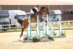 SBM_001910