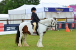SBM_00984