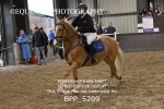 BPP_5209