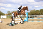 SBM_004654