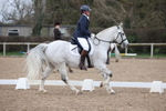 Unaffiliated Dressage portfolio