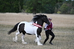 WJ7_8432