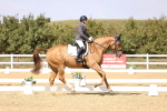 SBM_015089