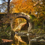 Autumn Light at Foleys Bridge