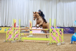 Class 5 - Senior Foxhunter - 1.20m portfolio