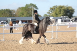 SBM_22194
