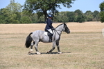 WJ6_8782