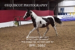 BPP_1662