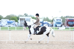 SBM_17171