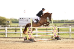 Class 14 - National 1.30m-1.40m portfolio