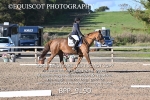 BPP_9190