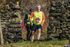 Stybarrow Dodd-1227
