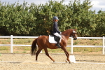 SBM_003669