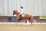 SBM_002602