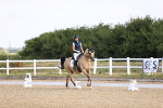 SBM_008533