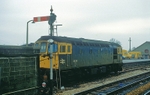 Newton Abbot (inc. Aller Junction), Devon portfolio