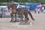 BPP_8329