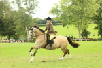 SBM_72040