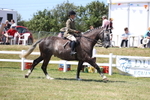 3E7A8399