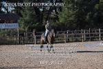 BPP_8513
