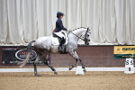 SBM_001572