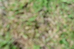 SBM_09300