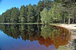 Loch Garten, Highland