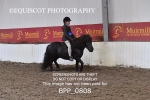 BPP_0808