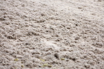 SBM_000941