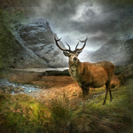 Monarch of the Glen , Glencoe