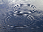 Drip Rings
