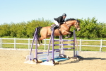 SBM_002063