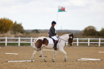 SBM_002632