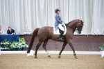 SBM_008779