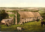 Abbotsbury Abbey 2