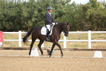 SBM_008453