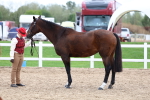 SBM_05071