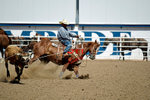 3HRodeo8-11-25_PRCASteer_06305_