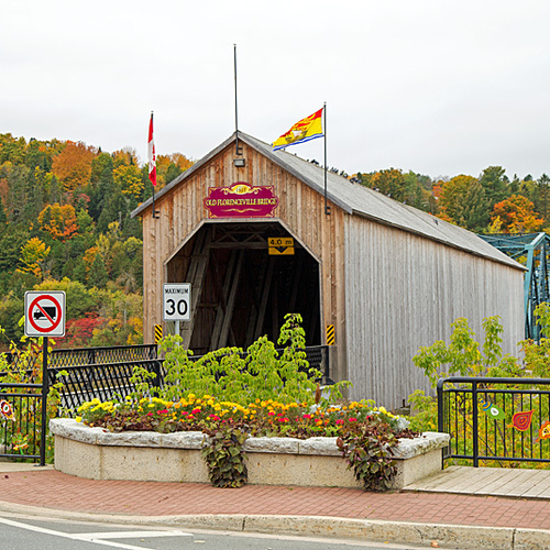Autumn Foliage and fence décor speak of early October in Florenceville, New Brunswick.