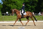 455-HHS_DASSETT_CLASS-Kate_Rocher-Smith-DR portfolio
