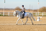 SBM_004595