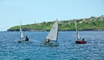 Bequia Youth Sailors at a local regatta held at Young Island