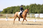SBM_006585