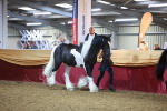 SBM_14942