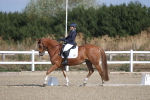SBM_020213