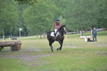 NGP_8037