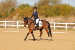 SBM_008821