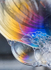 12th May Soap Bubble