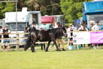 SBM_00794