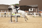 SBM_008918